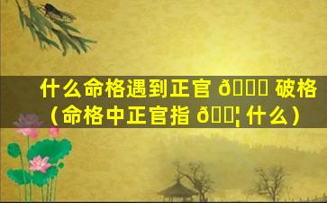 什么命格遇到正官 🕊 破格（命格中正官指 🐦 什么）